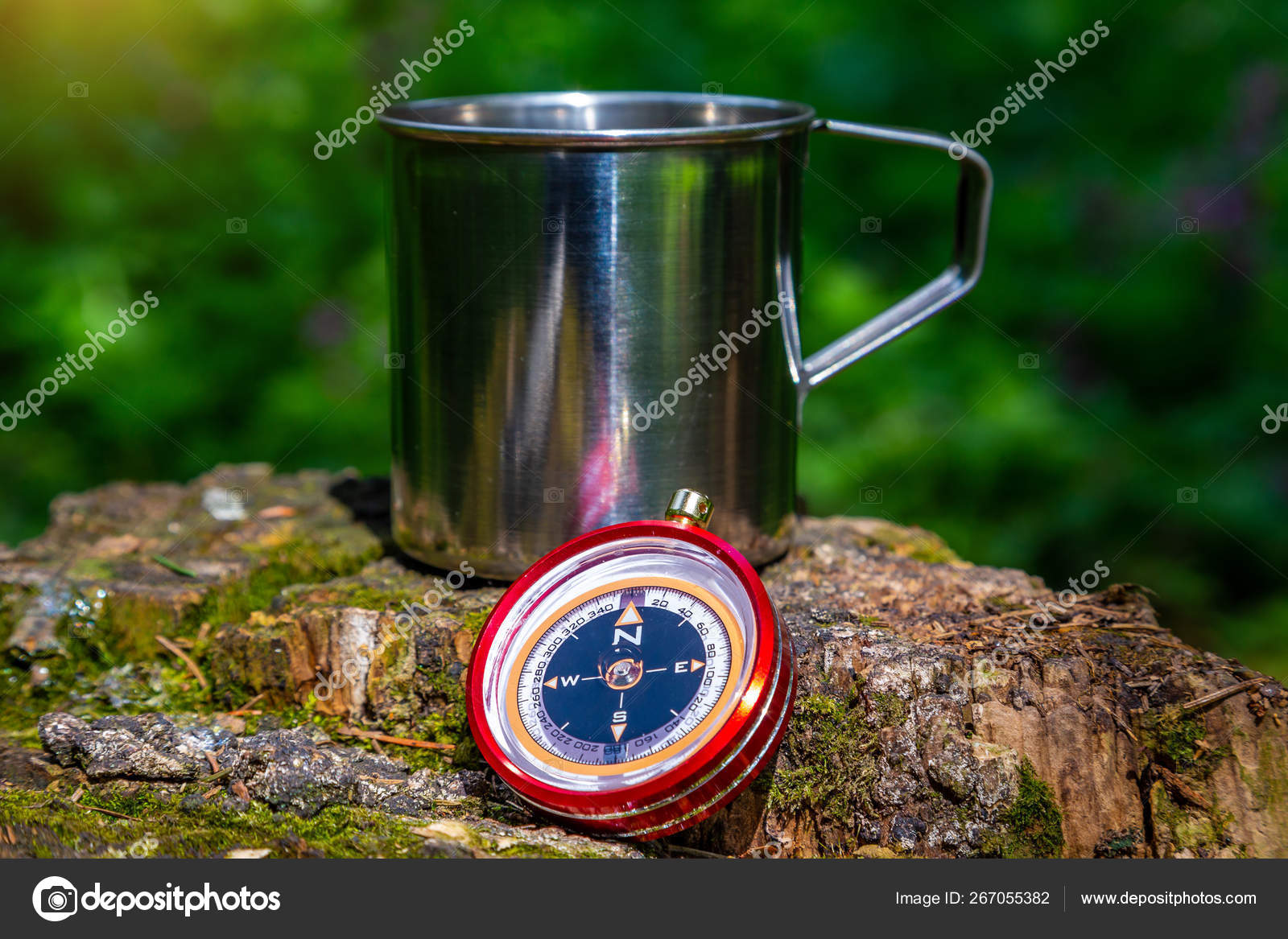 Туристический Стальной Кубок И Компас В Летнем Лесу — Стоковое.