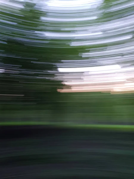 Texture sfondo sfocato in movimento nella foresta estiva — Foto Stock