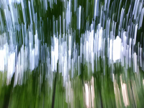 Tekstura niewyraźne tło w ruchu w lecie lasu — Zdjęcie stockowe