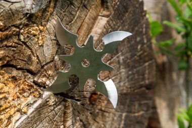 Shuriken (yıldız oluşturma), geleneksel Japon ninja soğuk silah