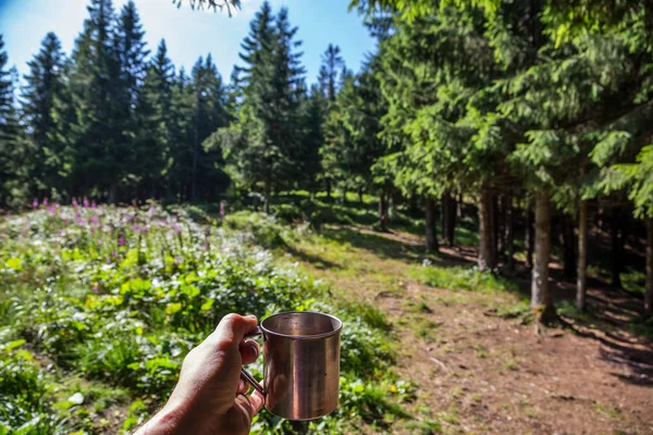 Travel mug in the hands of the forest. Camping in the forest.