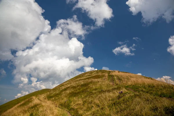 Piękny górski krajobraz w letni dzień. Góra Karpacka — Zdjęcie stockowe