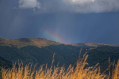 Fırtınalı havalarda güzel dağ manzarası. Karpat dağı