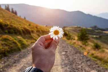 Elinde bir çiçek ile güzel dağ manzara. Karpat