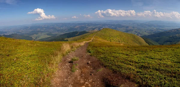 Piękny górski krajobraz w letni dzień. Góra Karpacka — Zdjęcie stockowe