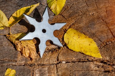 Shuriken (yıldız oluşturma), geleneksel Japon ninja soğuk silah