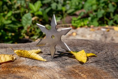 Shuriken (yıldız oluşturma), geleneksel Japon ninja soğuk silah