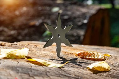 Shuriken (yıldız oluşturma), geleneksel Japon ninja soğuk silah