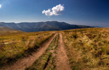 Bir yaz gününde güzel dağ manzarası. Karpat mountai