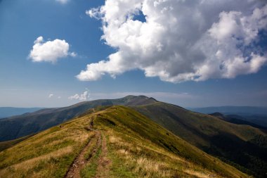 Bir yaz gününde güzel dağ manzarası. Karpat mountai