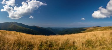 Bir yaz gününde güzel dağ manzarası. Karpat mountai