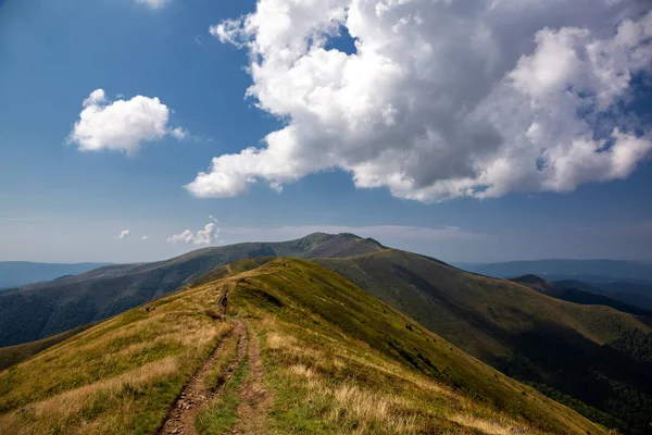 Bir yaz gününde güzel dağ manzarası. Karpat mountai