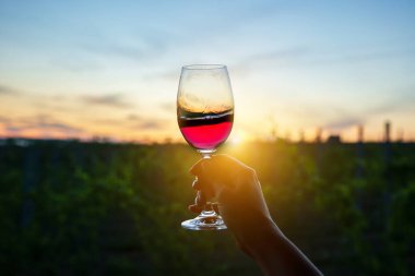 Gün batımında üzüm bağlarının üzerinde bir bardak şarapla..