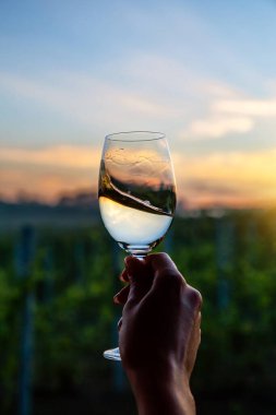 Gün batımında üzüm bağlarının üzerinde bir bardak şarapla..