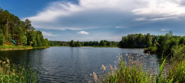 Yaz tatili için kıyıda çam ağaçları olan ormandaki güzel göl. Ukrayna 'ya seyahat.