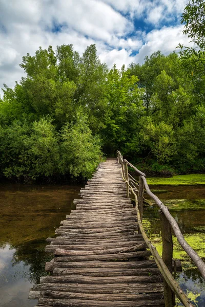 Stary Drewniany Most Nad Rzeką Lesie — Zdjęcie stockowe