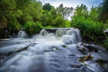 Terk edilmiş bir ormanda güzel bir şelale. Bir yaz günü..