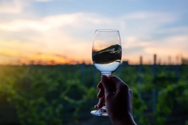 Gün batımında üzüm bağlarının üzerinde bir bardak şarapla..