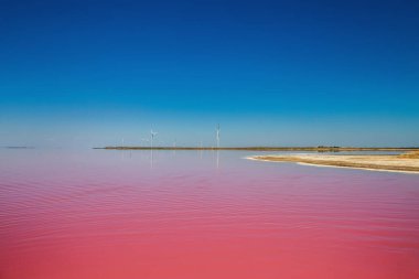 Tedavi için tuzlu suyu olan güzel pembe göller..
