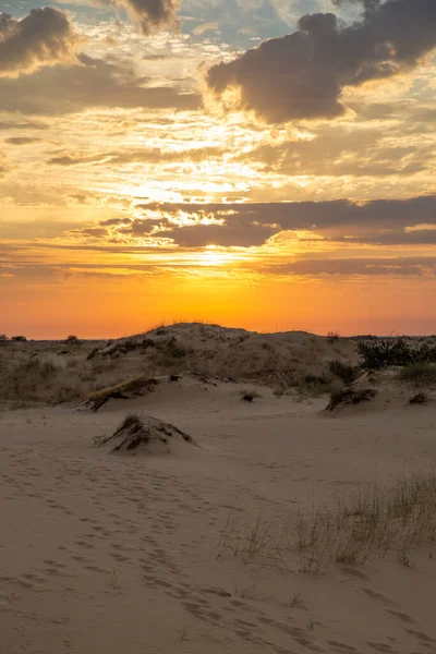 Beautiful desert landscape with dunes. Walk on a sunny day on the sands.