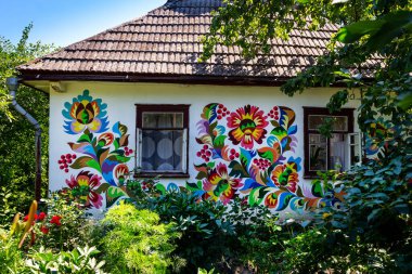 Erkekler. Ukrayna. 11 Temmuz 2020. Açık havada geleneksel Samchik resmi.