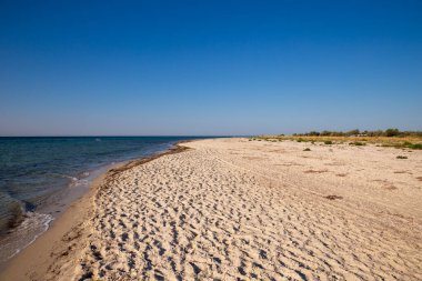 Deniz kenarındaki güzel kumlu sahil. Dzharylgach Adası.