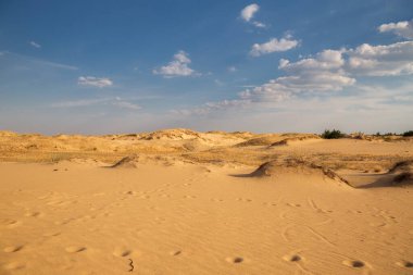 Kumulları olan güzel bir çöl manzarası. Güneşli bir günde kumların üzerinde yürü.