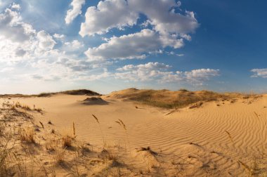 Kumulları olan güzel bir çöl manzarası. Güneşli bir günde kumların üzerinde yürü.