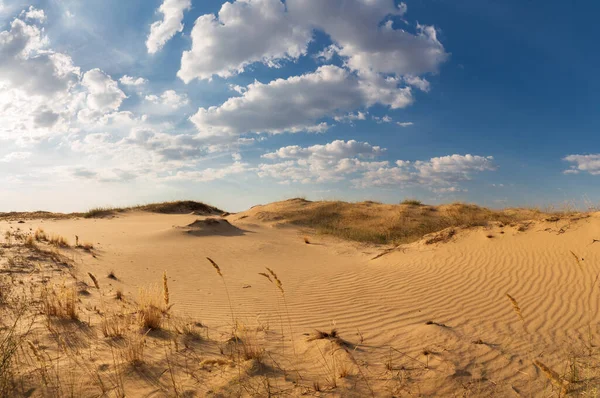 Kumulları olan güzel bir çöl manzarası. Güneşli bir günde kumların üzerinde yürü.