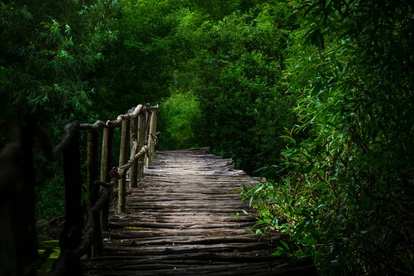 森林中河上的一座旧木桥 — 图库照片