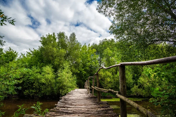 Ormanda nehrin üzerindeki eski ahşap köprü..