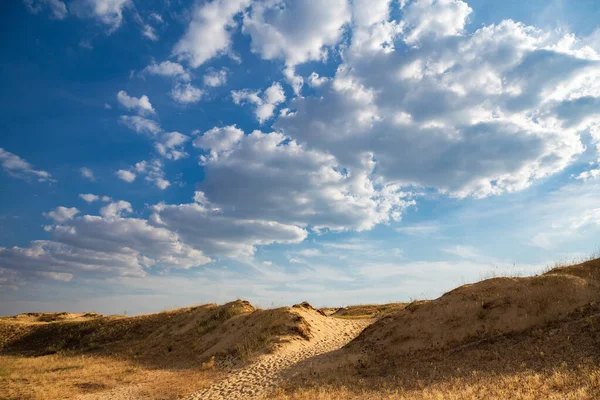 Beautiful desert landscape with dunes. Walk on a sunny day on the sands.