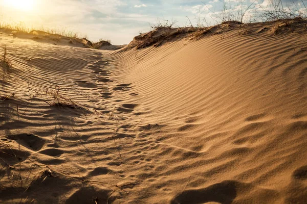 Kumulları olan güzel bir çöl manzarası. Güneşli bir günde kumların üzerinde yürü.
