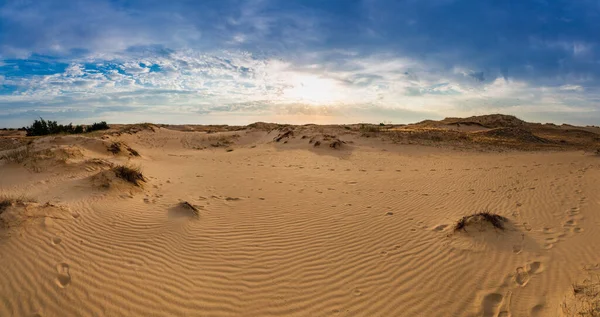 Kumulları olan güzel bir çöl manzarası. Güneşli bir günde kumların üzerinde yürü.
