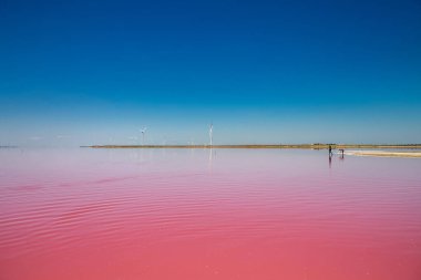 Tedavi için tuzlu suyu olan güzel pembe göller..