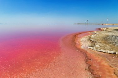 Tedavi için tuzlu suyu olan güzel pembe göller..