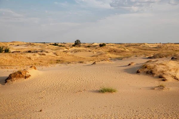 Beautiful desert landscape with dunes. Walk on a sunny day on the sands.