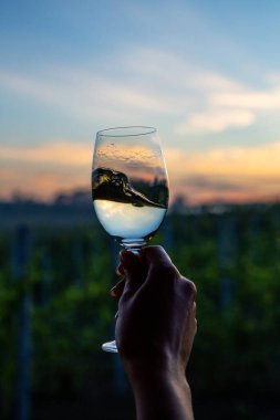 Gün batımında üzüm bağlarının üzerinde bir bardak şarapla..