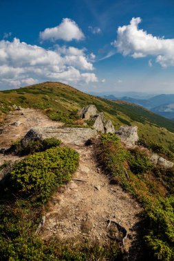 Yüksek Karpatlar 'da güzel bir manzara. Sonbahar dağlarda.