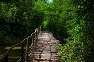 Ormanda nehrin üzerindeki eski ahşap köprü..