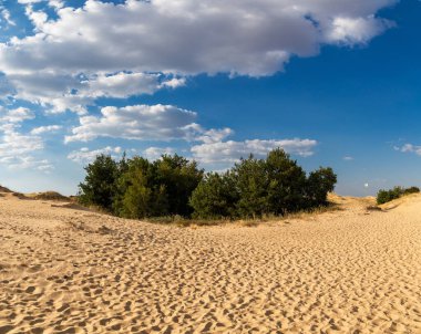 Kumulları olan güzel bir çöl manzarası. Güneşli bir günde kumların üzerinde yürü.