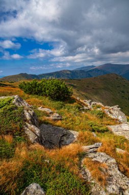 Yüksek Karpatlar 'da güzel bir manzara. Sonbahar dağlarda.