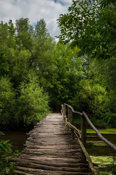 Stary Drewniany Most Nad Rzeką Lesie — Zdjęcie stockowe