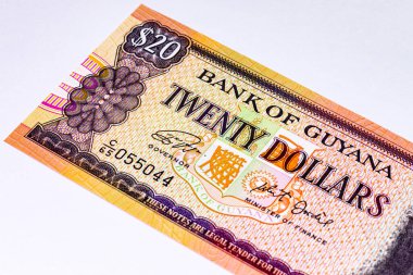 20 dolarlık Guyana, tasarım için bir banknotun parçası. Guyana 'nın parası.