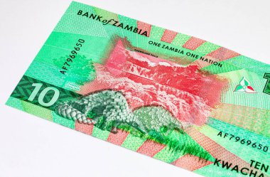 Kabwell Şelalesi 'nin görüntüsüne sahip 10 Kwacha Zambiya. Zambiya ve Afrika 'nın parası.