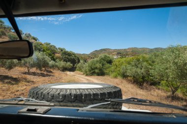 4 x 4 araç Sürücü koltuğundan kırsal sürüş sırasında görüntülemek.