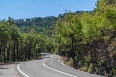 Yokuş yukarı bir curvy, bendy yol. Açık yol yamaca ormanı. Açık yol. Boş yol kırsalında hiçbir trafik. Kırsal manzara. Yunanistan.