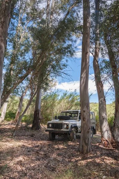 Kırsal Andalucia. İspanya. 06/10/2016. ormandaki 4 x 4 arazi aracı.