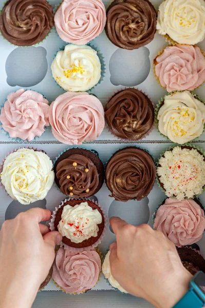 Kadın Elleri Tereyağlı Süslemeleri Yapımı Keklerin Üzerine Yerleştirip Karton Nakliye — Stok fotoğraf