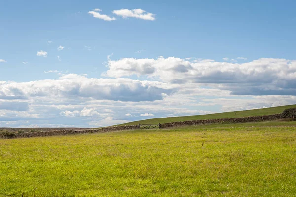 Yeşil yemyeşil çimenli tepeler, tarlalar ve çayırlar mavi bulutlu gökyüzüne karşı.